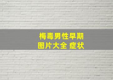 梅毒男性早期图片大全 症状